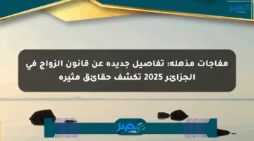 مفاجآت مذهلة: تفاصيل جديدة عن قانون الزواج في الجزائر 2025 تكشف حقائق مثيرة
